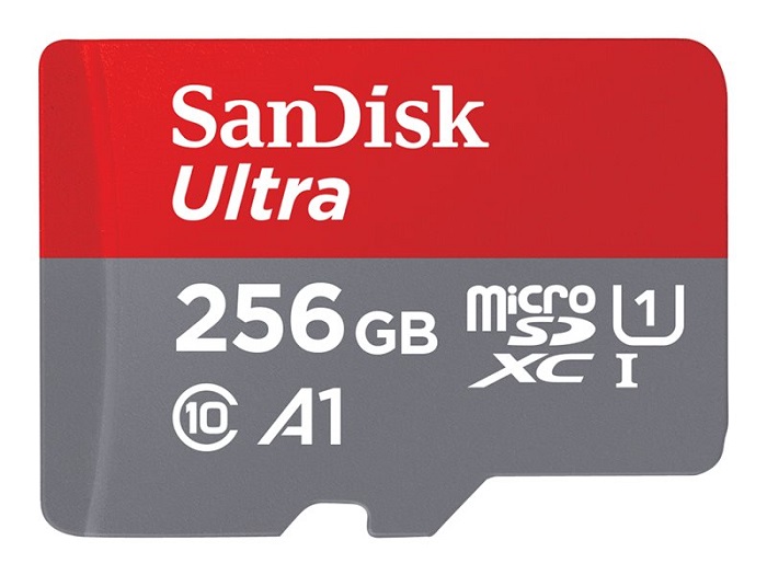 SDMICRO256GB SANDISK SDSQUA4